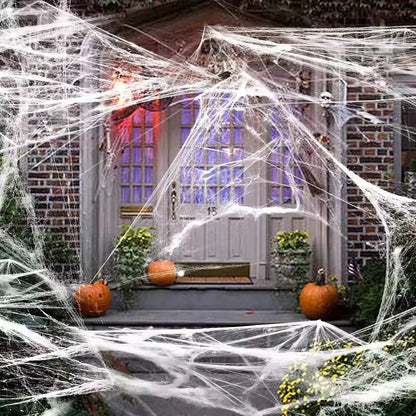 Stretchy Halloween Spiderweb